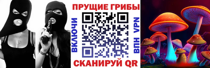 Псилоцибиновые грибы MAGIC MUSHROOMS  цены наркотик  Ачинск 